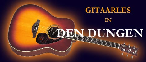gitaarles Den Dungen